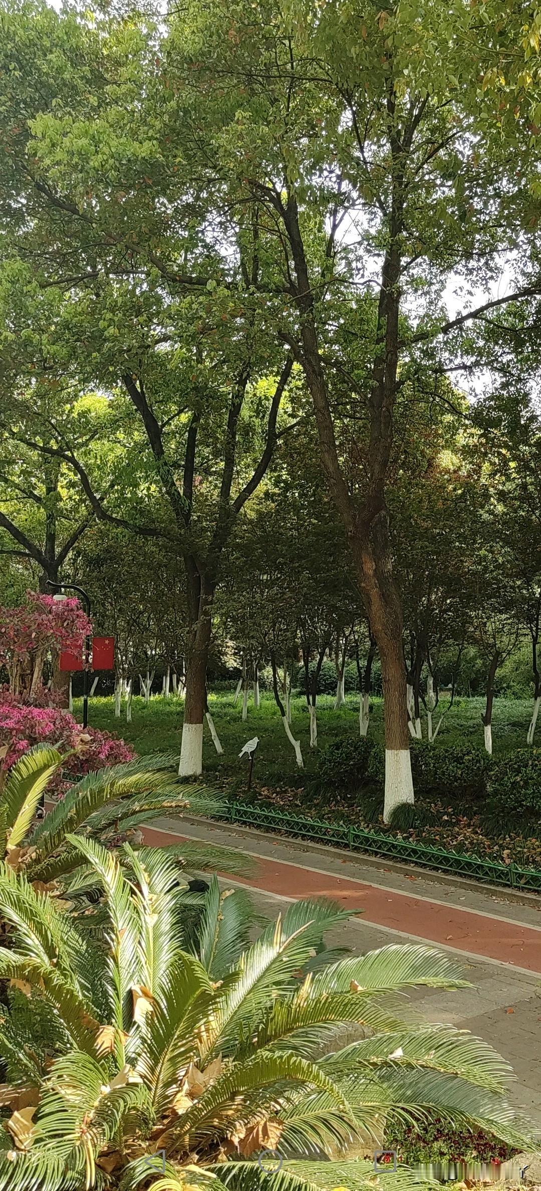 麻团儿进步了？或者被杜医生打击了？
今天麻团儿主动提出要去二院看牙。
挂了一个专