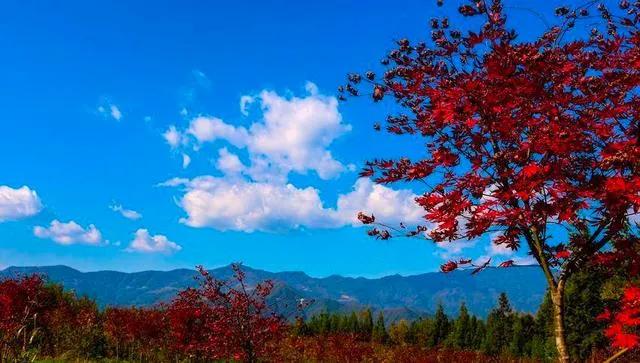 #诗文对对联分享#
上联：秋气著人凉似水
下联：晚山和我淡如云