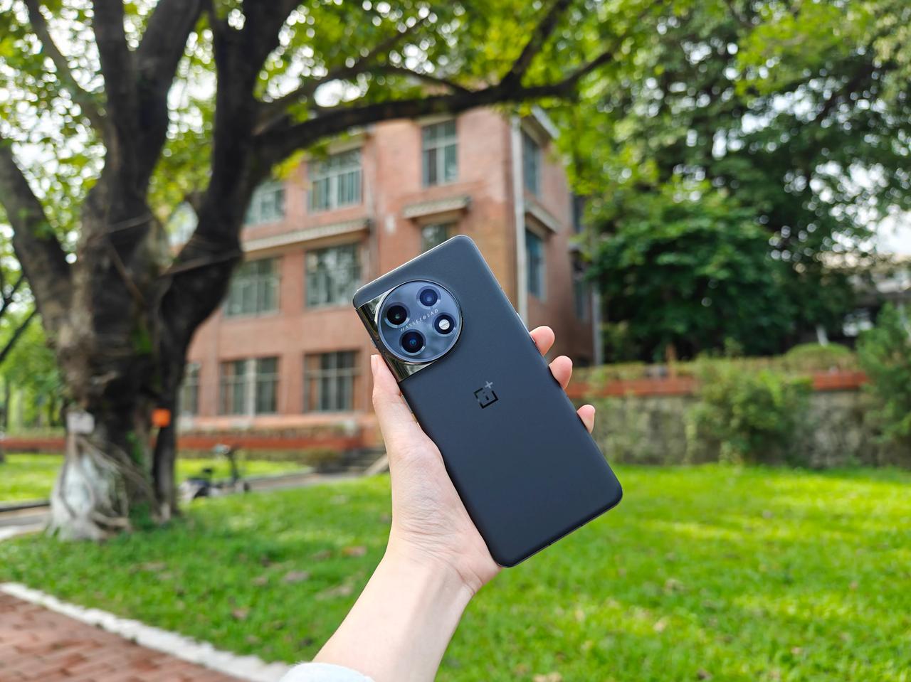 最近不是毕业季了嘛，我拿上了新买的一加11手机，去校园里拍了点照片，感觉这款手机