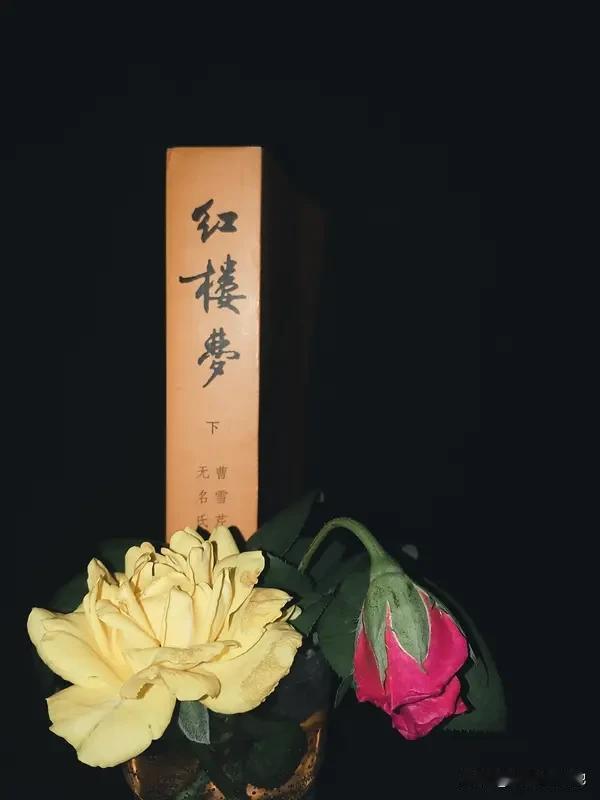 见“红楼梦里皆美女”上联
立马想到“水浒传中尽侠男”为下联
《红楼梦》与《水浒传