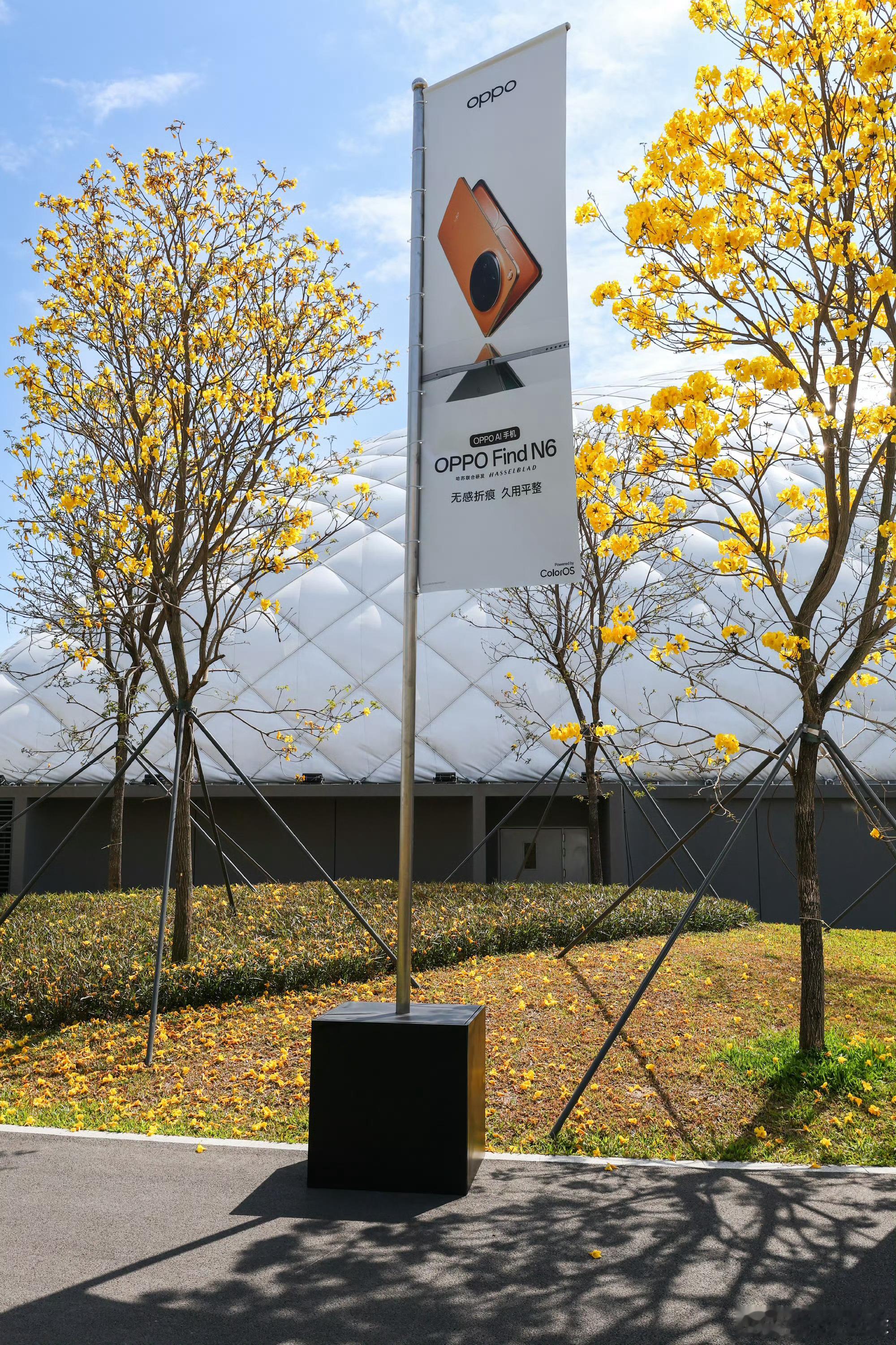 今天oppo find n6 发布会的场地是OPPO天穹馆，平时是OPPO员工的