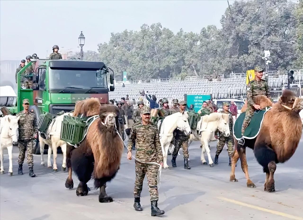 别以为现代战场全是无人机、坦克的天下了，就说最近的印度阅兵式上，动物方队吸睛无数