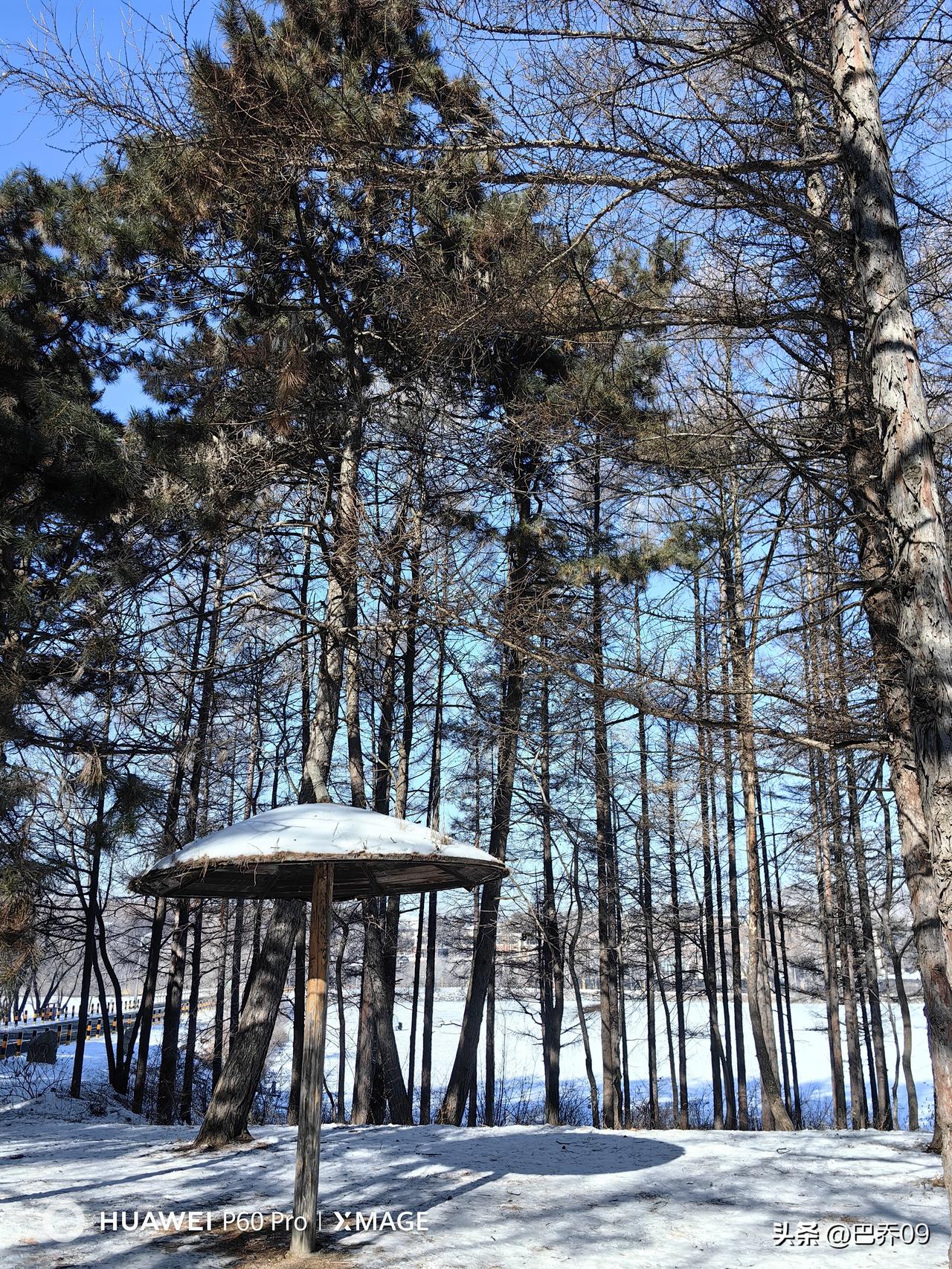 拒绝内耗的生活有多爽
 
拒绝内耗，不是躺平摆烂，而是把心力还给自己，把生活还给