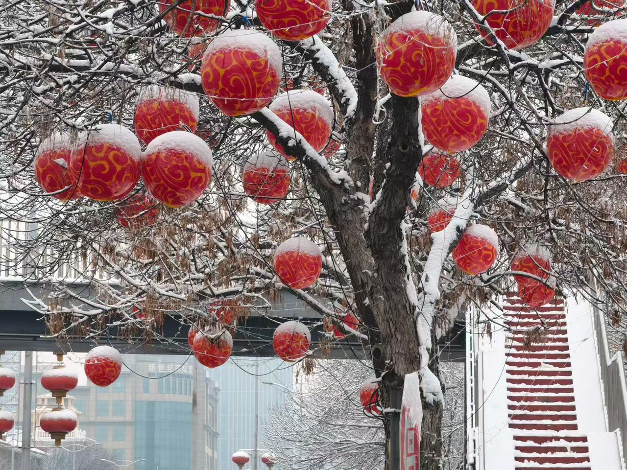 新年爱好打卡雪落枝头裹素妆，红灯映雪报新春。这一抹抹覆着白雪的中国红，是冬藏的诗