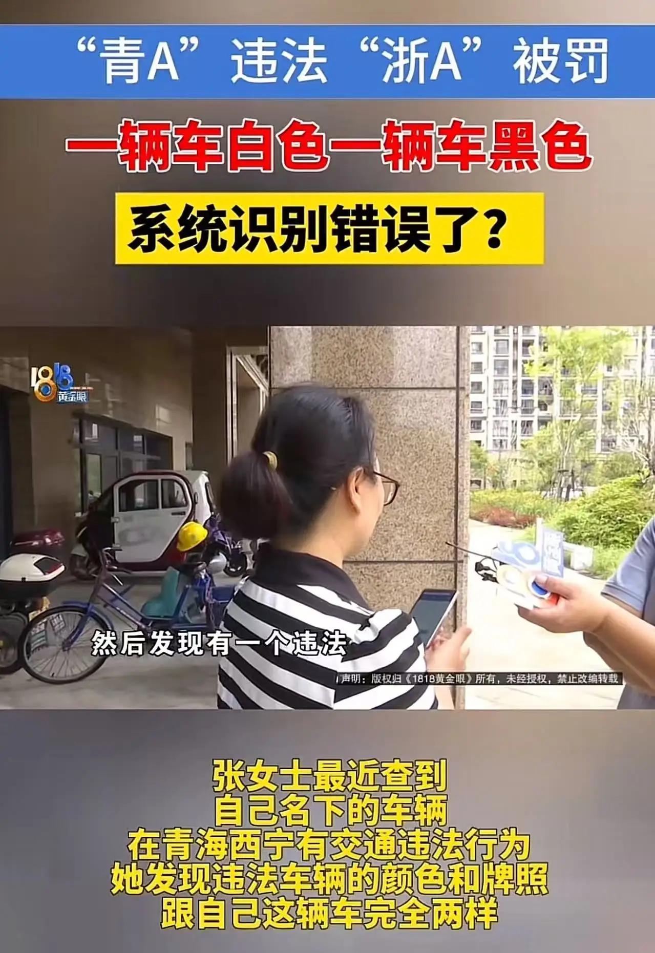 这是一场看似普通的“违章查询”，却折射出我们对制度的信任与焦虑，也揭示了一个普通