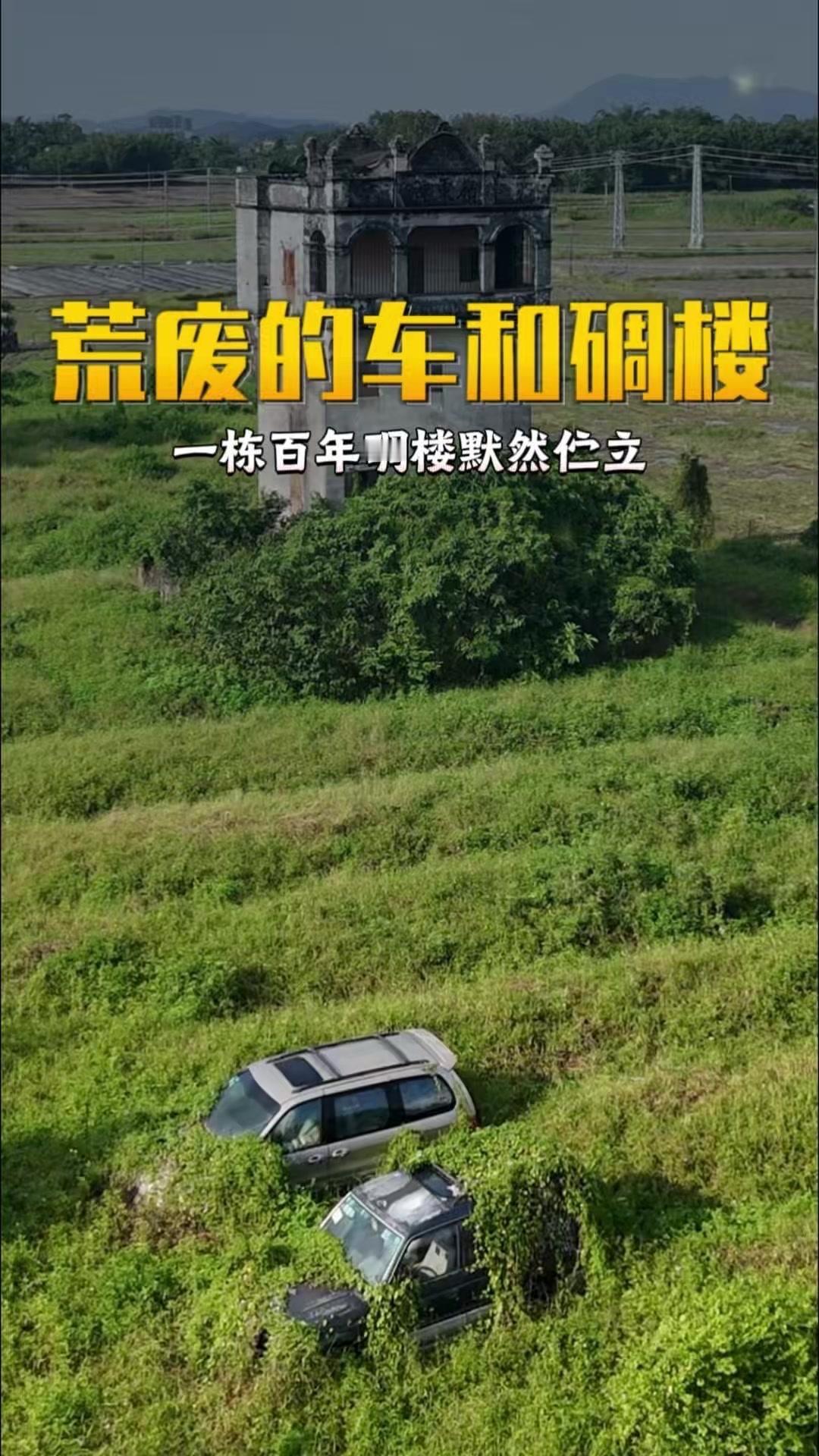 被遗弃的家宅与座驾藏着什么故事？📜漫草深处藏着被遗弃的豪车，锈迹爬上车身，百年
