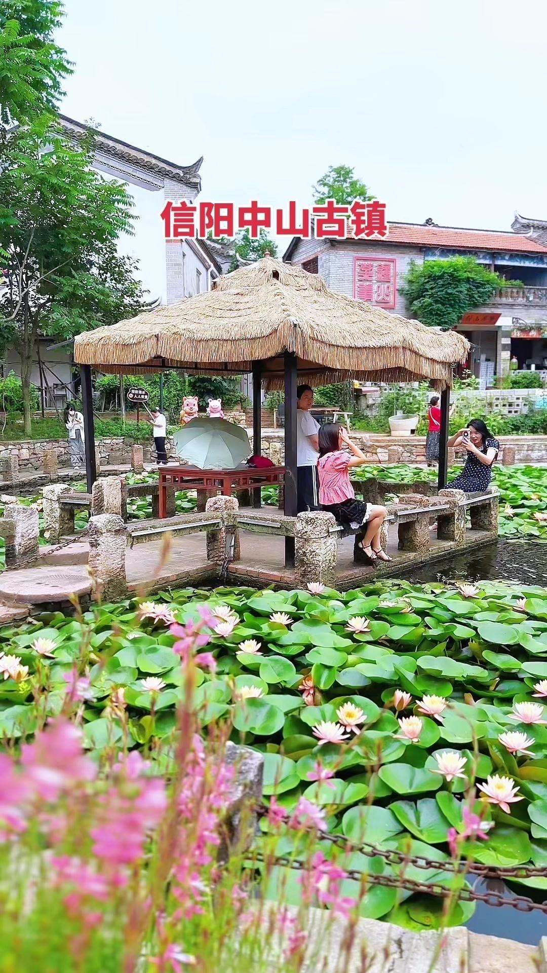 不需要远赴江南，信阳中山古镇也有小桥荷塘🌿
在信阳中山古镇发现了一处宝藏地！小