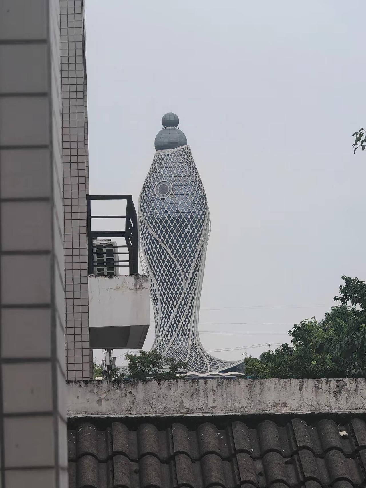 好大一条
