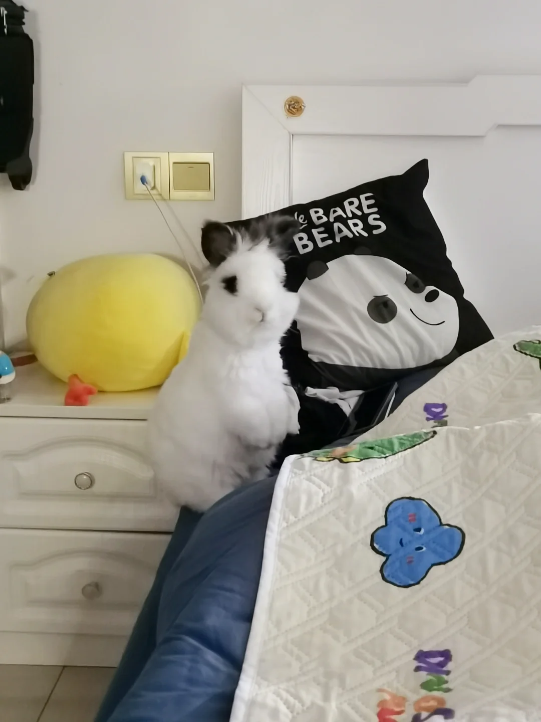 小宝：啥？你说啥？被子不能咬吗？