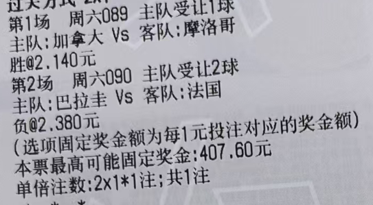 ⭐️089 世界杯 加拿大vs摩洛哥⭐️090 世界杯 巴拉圭vs法国