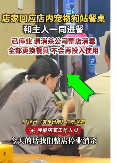 深圳酸汤火锅店顾客将宠物狗放在桌上用餐，服务员视而不见。这件事有后续了：当晚门店