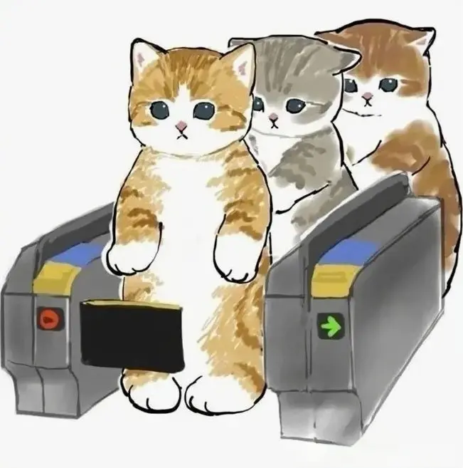 萌猫。