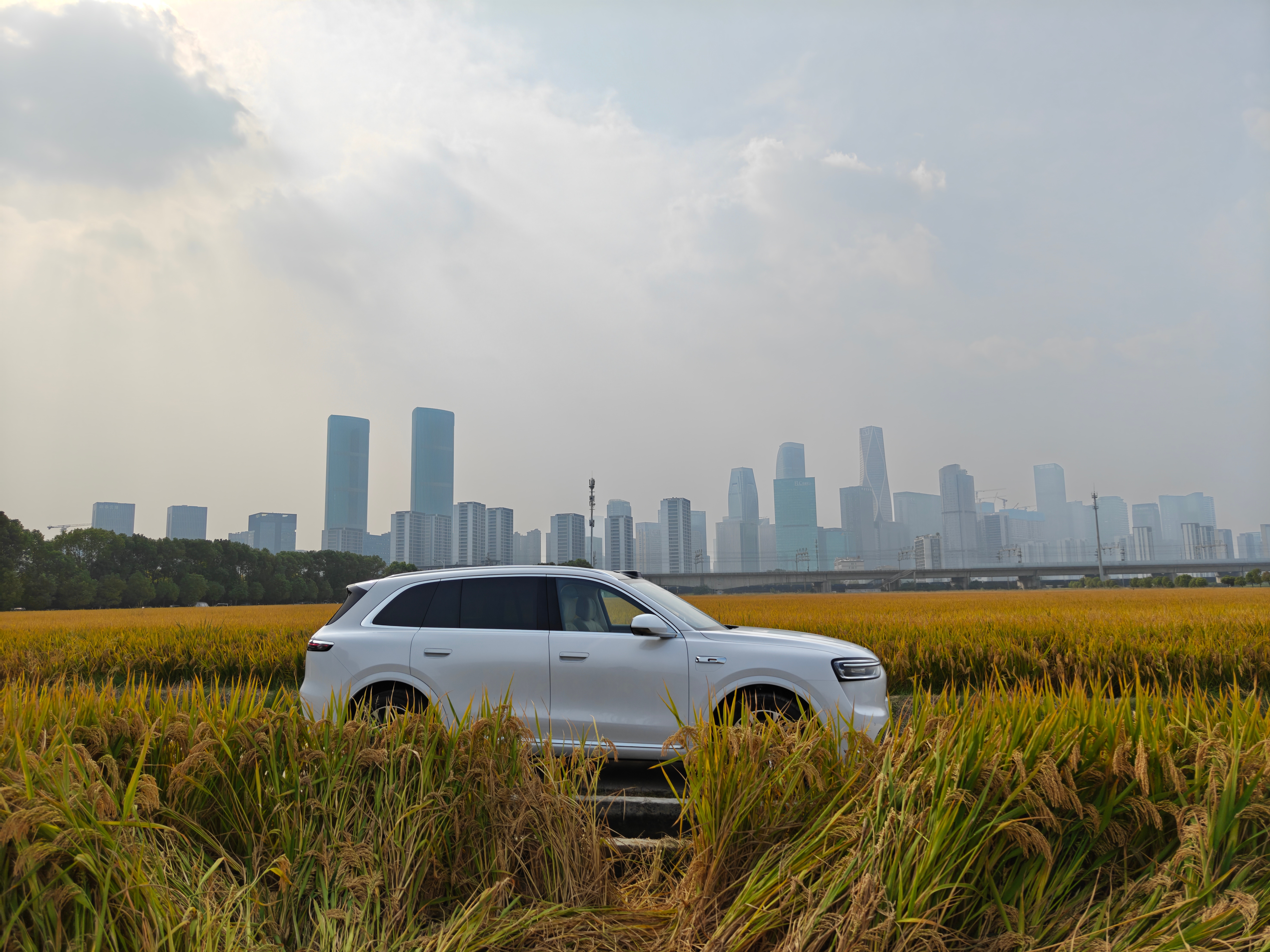 今天最后悔的事情，忘记带无人机了[泪][泪][泪] ​​​