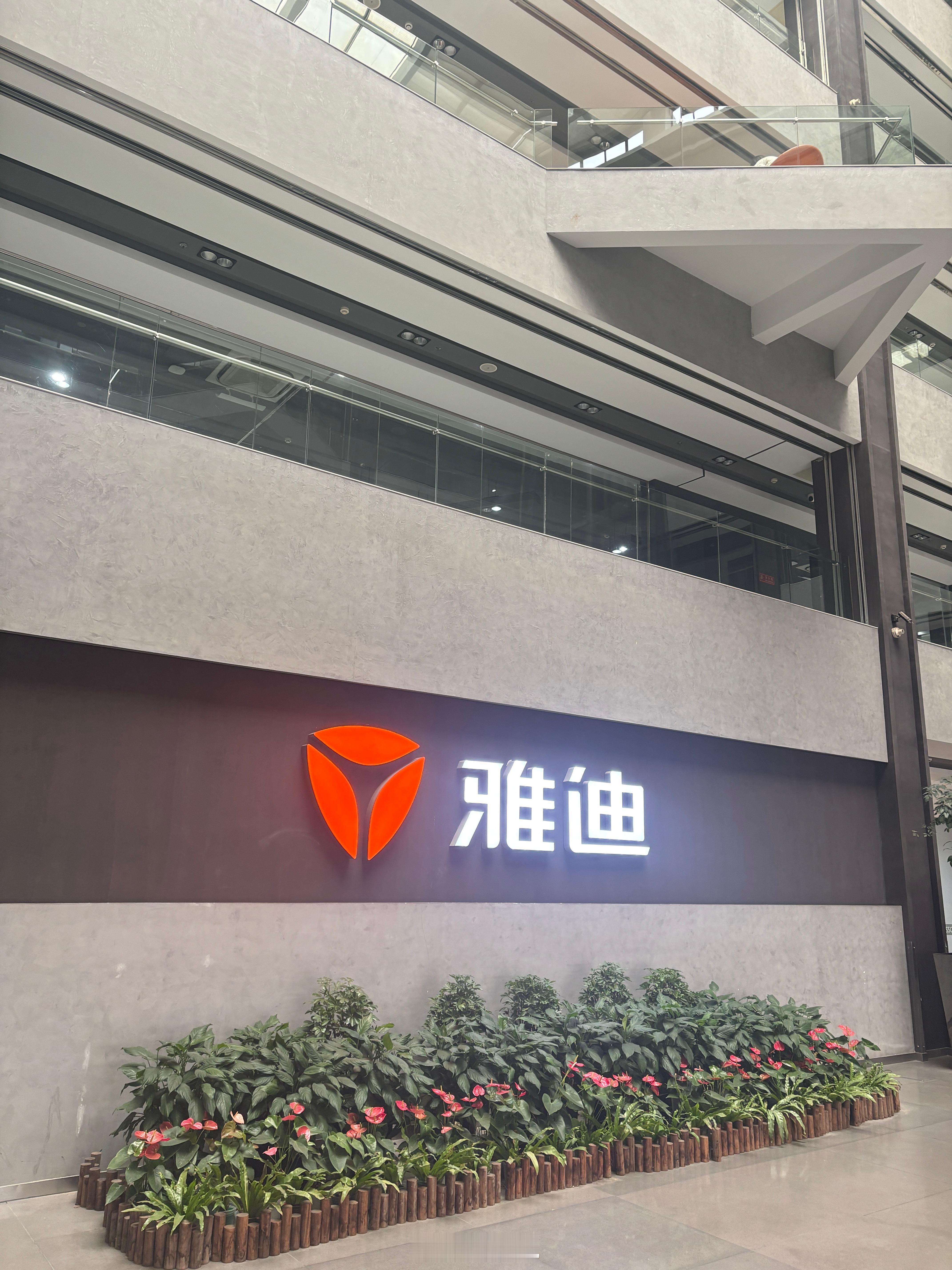 今日拜访雅迪电动车