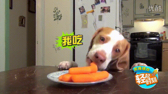 狗子：我吃我吃我吃吃吃 