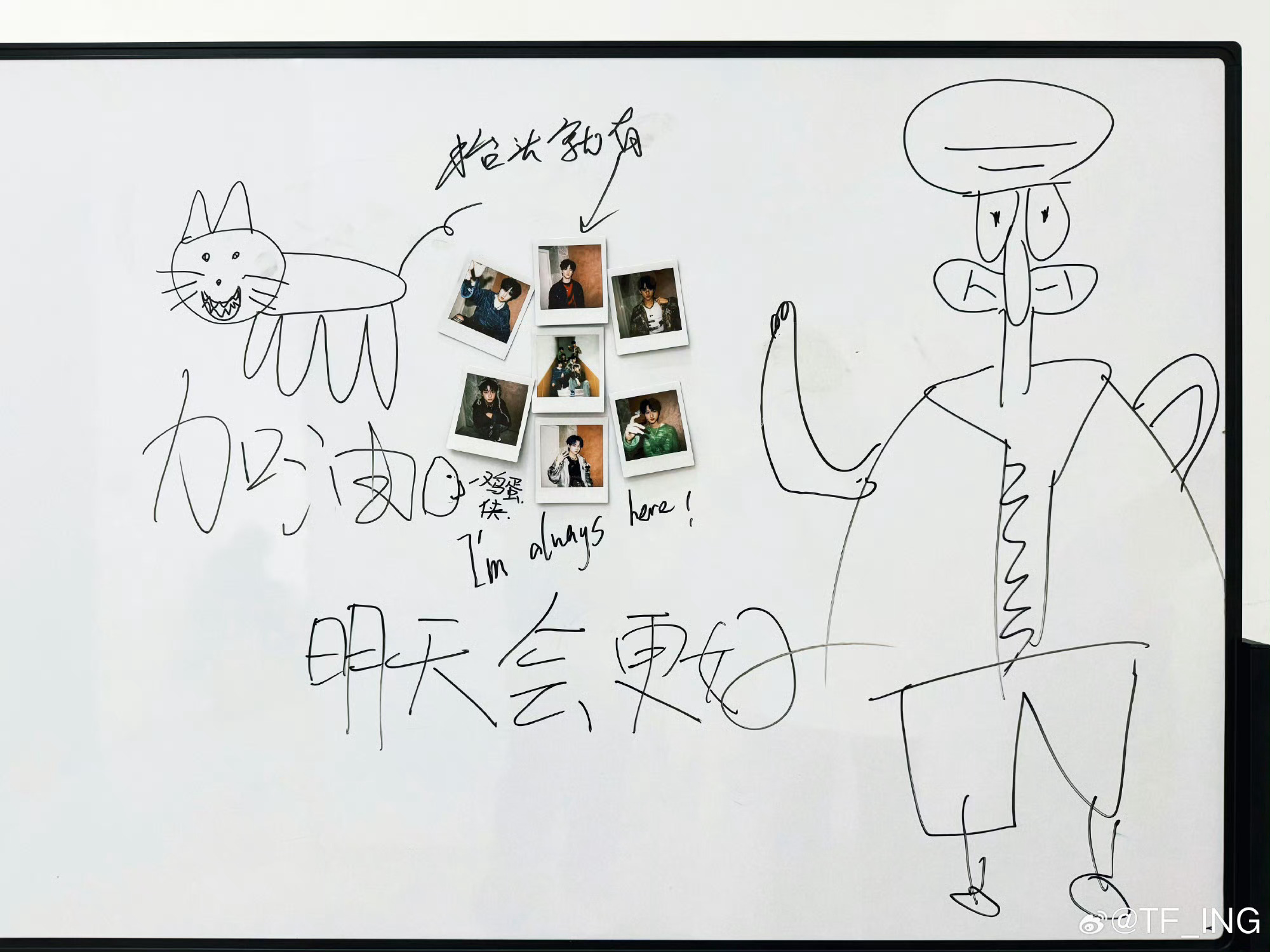 #TFING楼梯间拍立得#楼梯间拍立得来啦！相信一切都是为了更好的相见~ ​​​