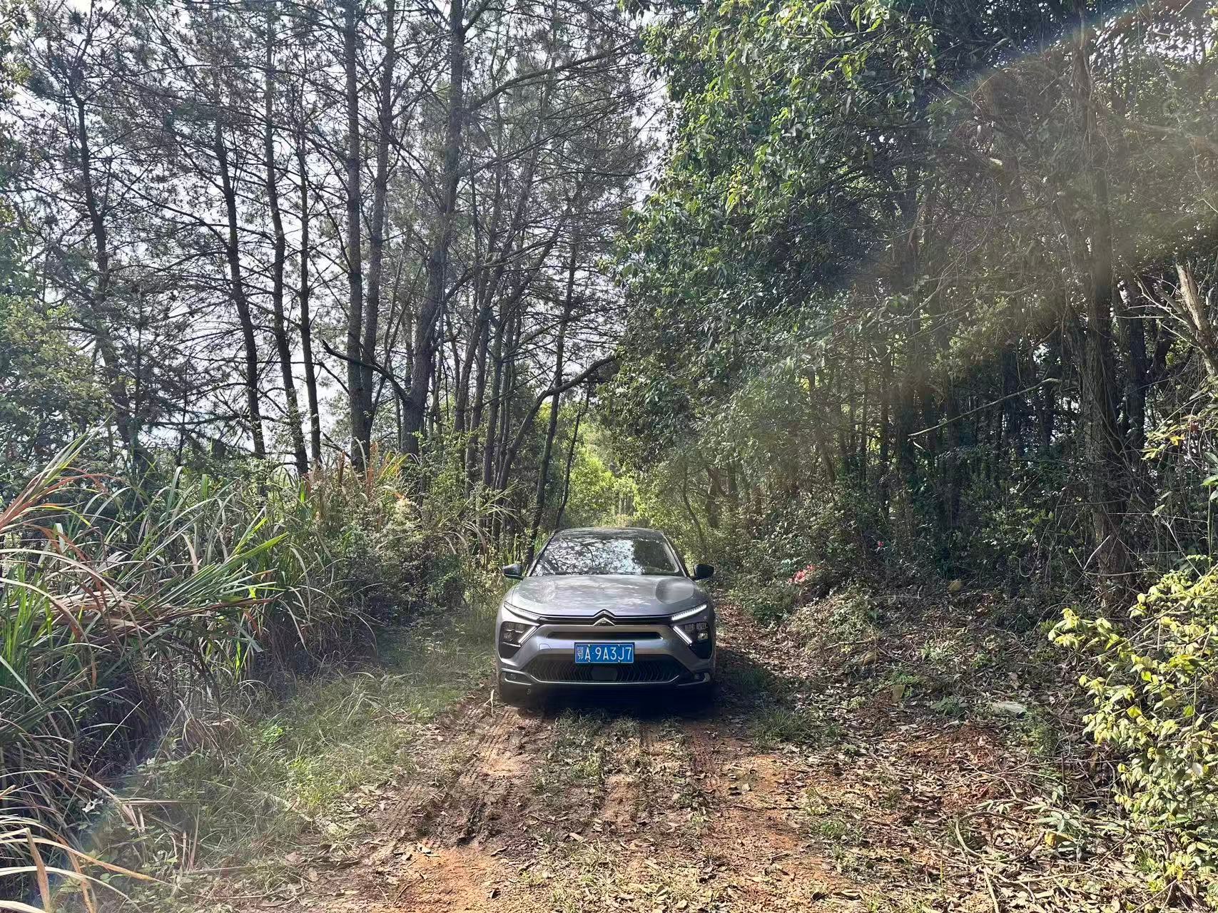 凡尔赛C5X 能户外的轿车