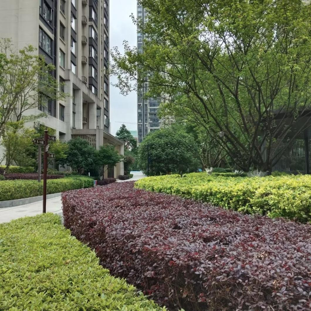 时光缓缓流淌，春事悄然落幕，初夏携着清风与暖阳，温柔奔赴人间。

风从枝头缓缓掠