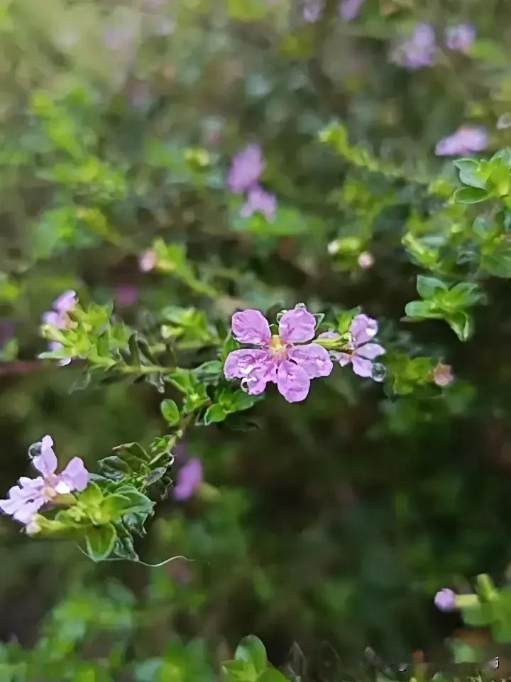 我们在什么情况下才要去工作？
有的人认为，当然是要去赚钱才要工作。

那么，如果