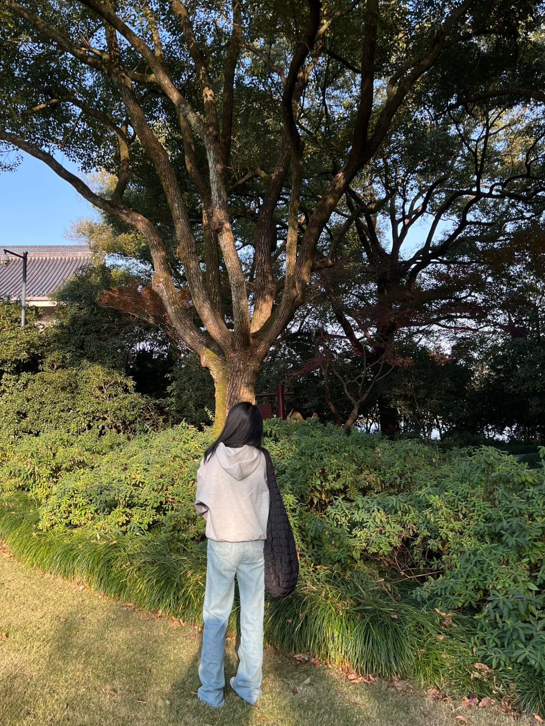 日常分享