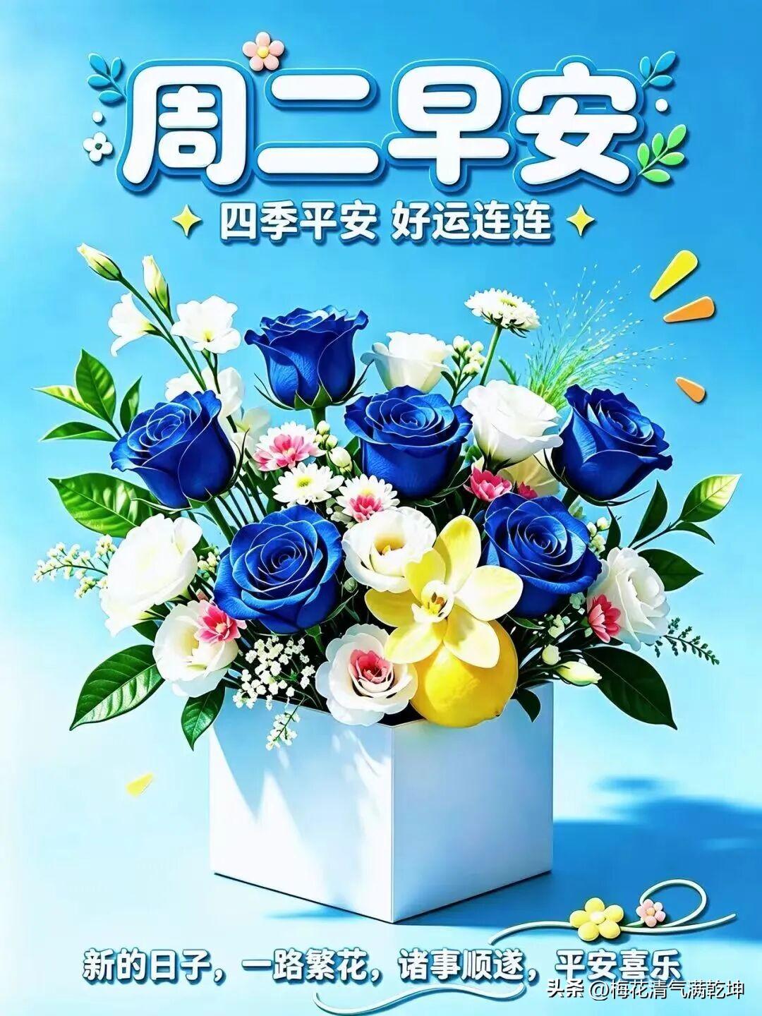 周二早安，四季平安好运连连！🌸🌷🌺🌹