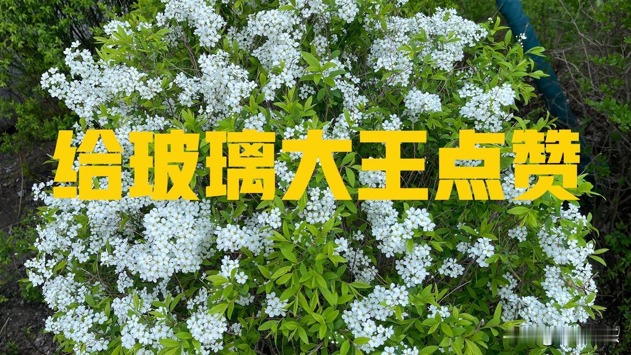 人真不可以貌相，
更不能被表面欺骗，
尤其是成功的男人，
守住初心的世上稀有。