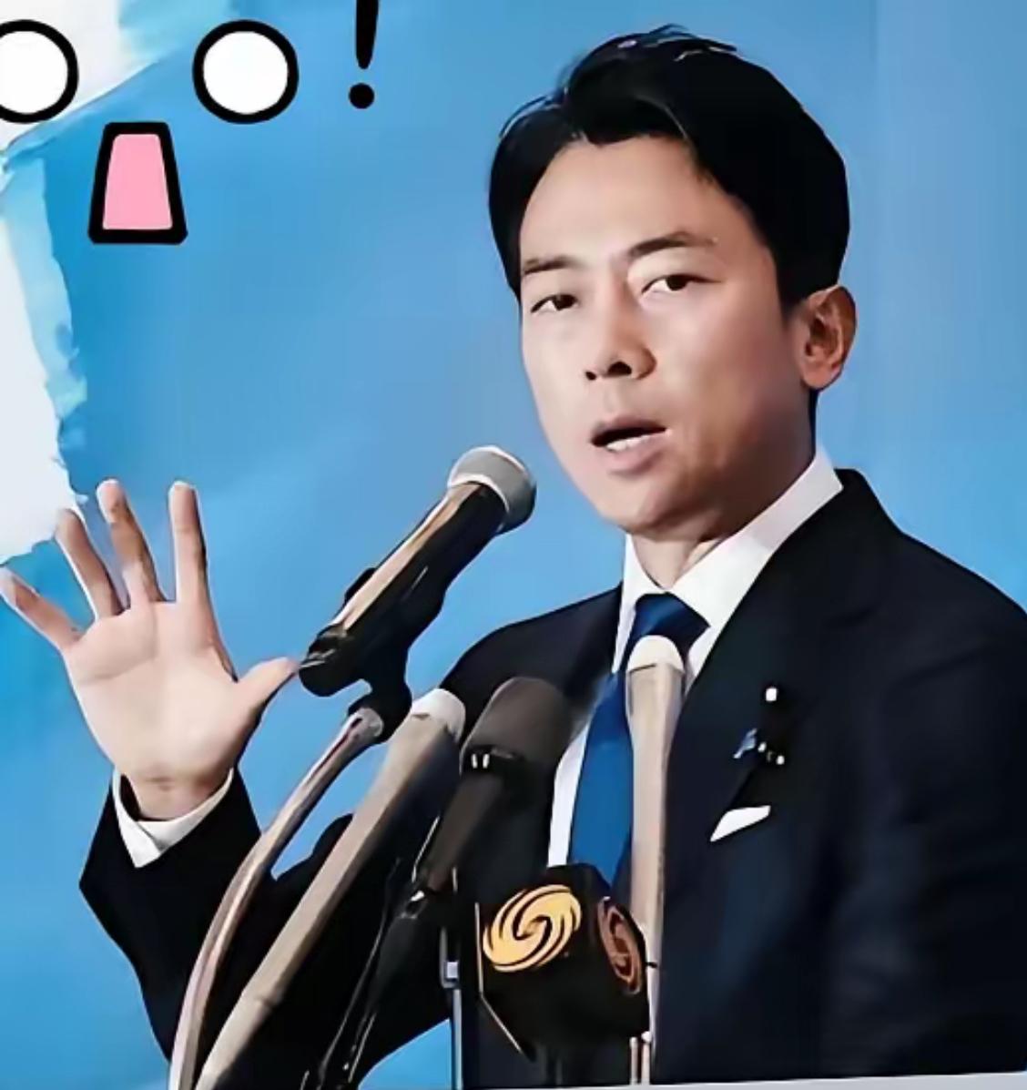 小泉进次郎还敢蹦跶？中方五部门齐亮剑，这不是警告是决战信号！

80年前被揍得投