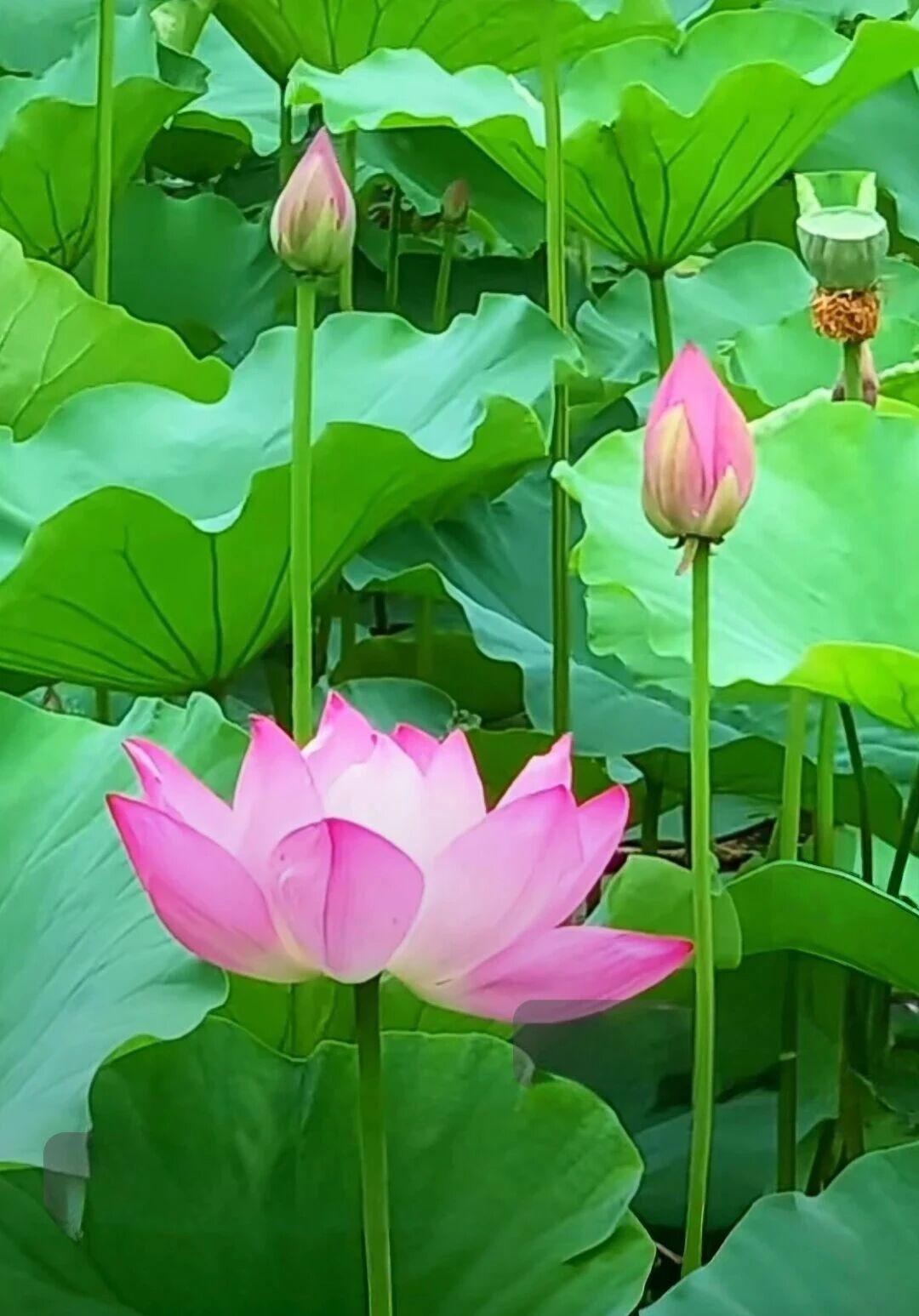 三分钟临时即兴发言稿

躬身实干担使命 砥砺奋进启新程
——三分钟临时即兴发言稿
