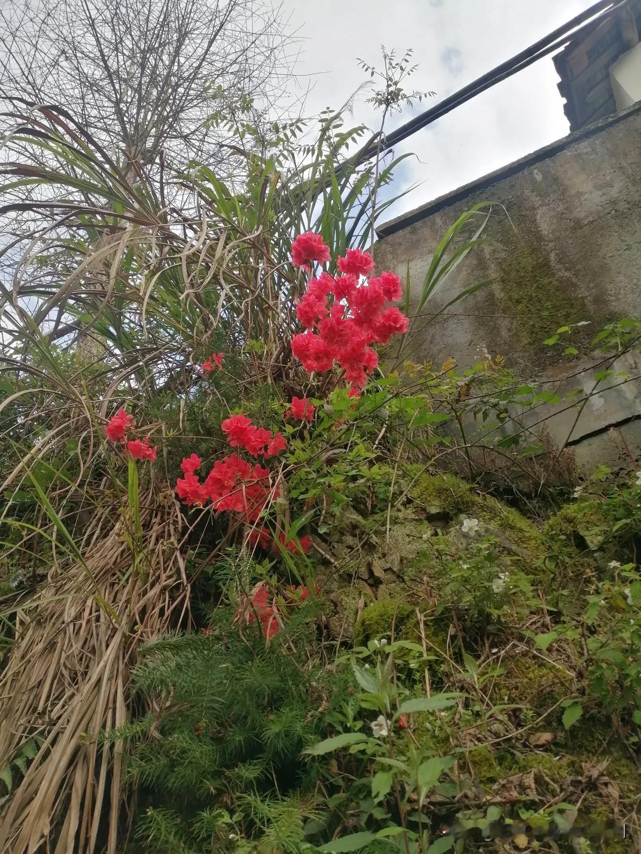 分享一张你最近随手拍的照片吧