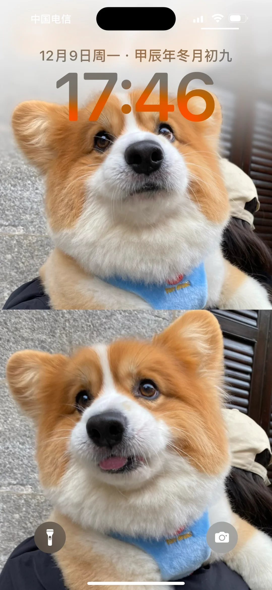出壁纸啦！！！