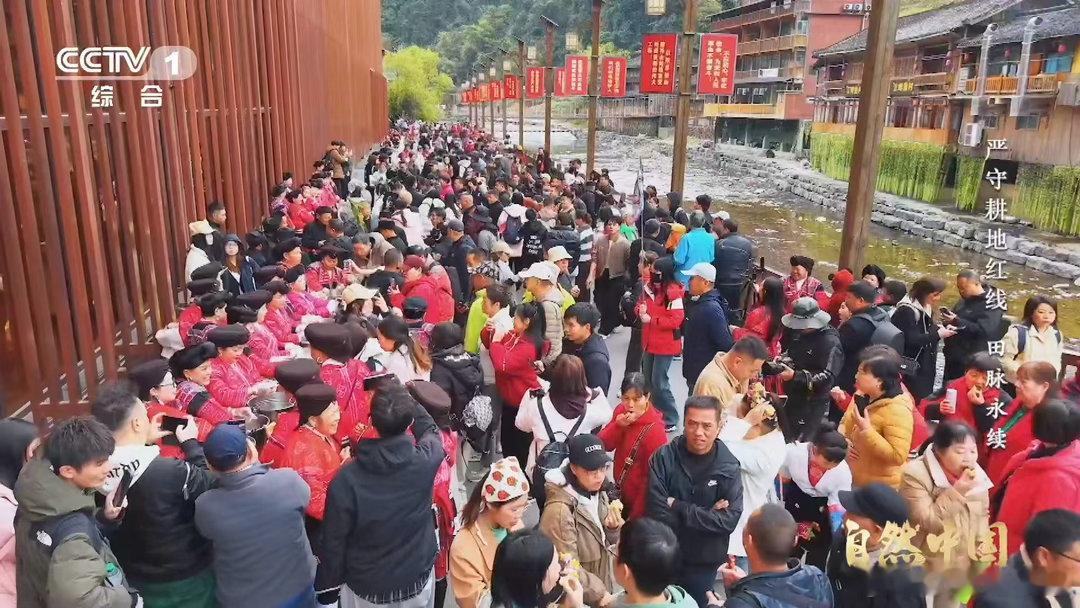 中国梯田美成油画 层叠田垄顺着山峦蜿蜒，天光云影落进田间，一眼望去，整座山野都化