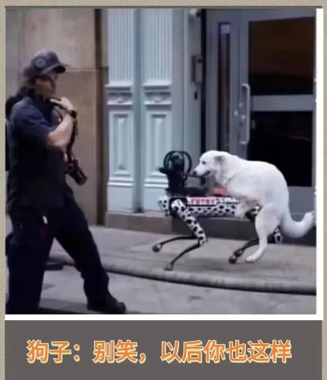 看到这张图大为震惊！
看到这句话更震惊了！