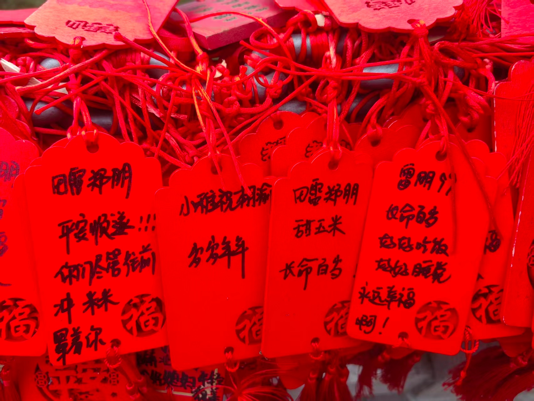 甜玉米生日应援严肃找到自己！栩渝岁岁年年田雷郑朋长命百岁 