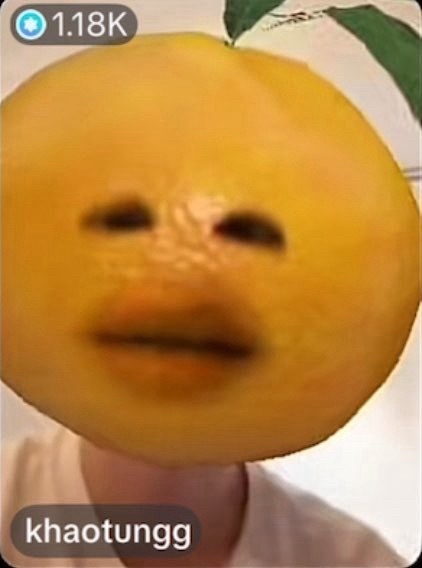 一对橘子🍊🍊 