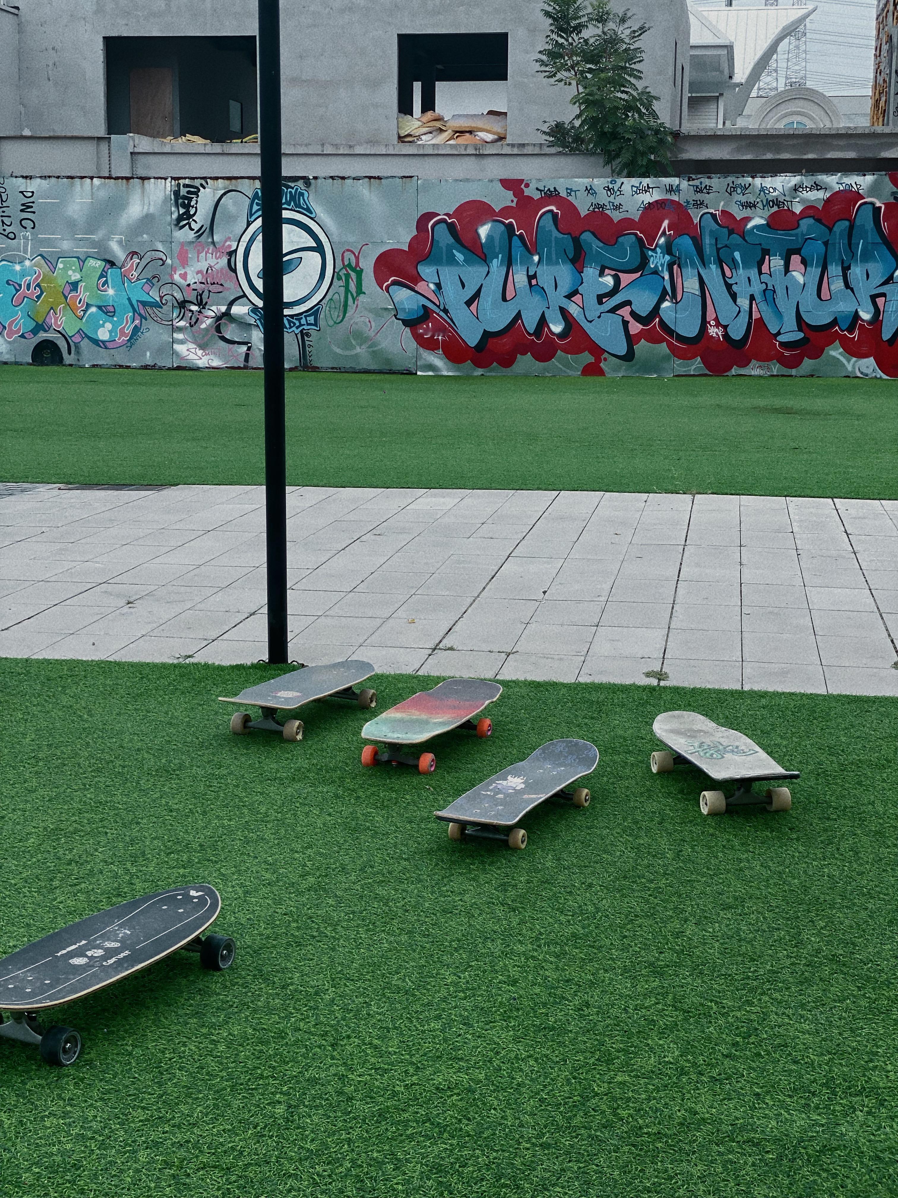 有滑板和小狗的班都上得有劲儿了 ​​​