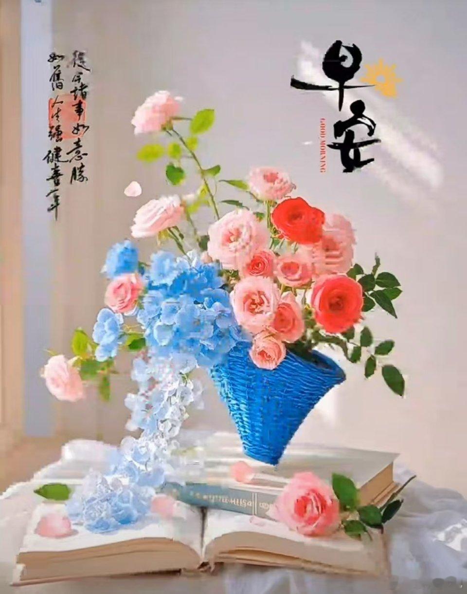 弱水三千，只取一瓢饮；繁华万千，只求一份心安。我的日常plog早安