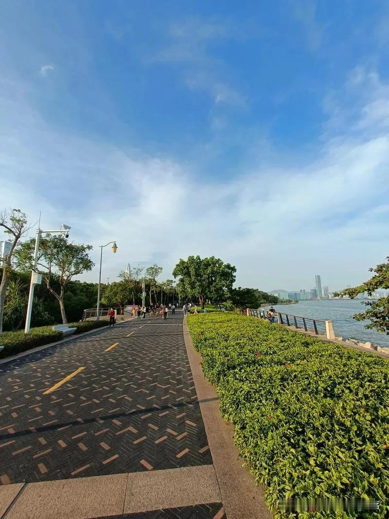 深圳，这座充满活力和创新的城市，为旅行者提供了丰富多彩的体验。以下是一份详尽的深