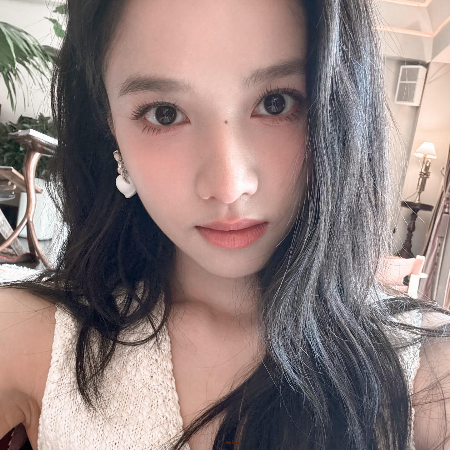 -𝐒𝐇𝐀𝐑𝐄｜张婧仪头像背景图搭配 ⸝⸝☕꙳🐰◟💭。 