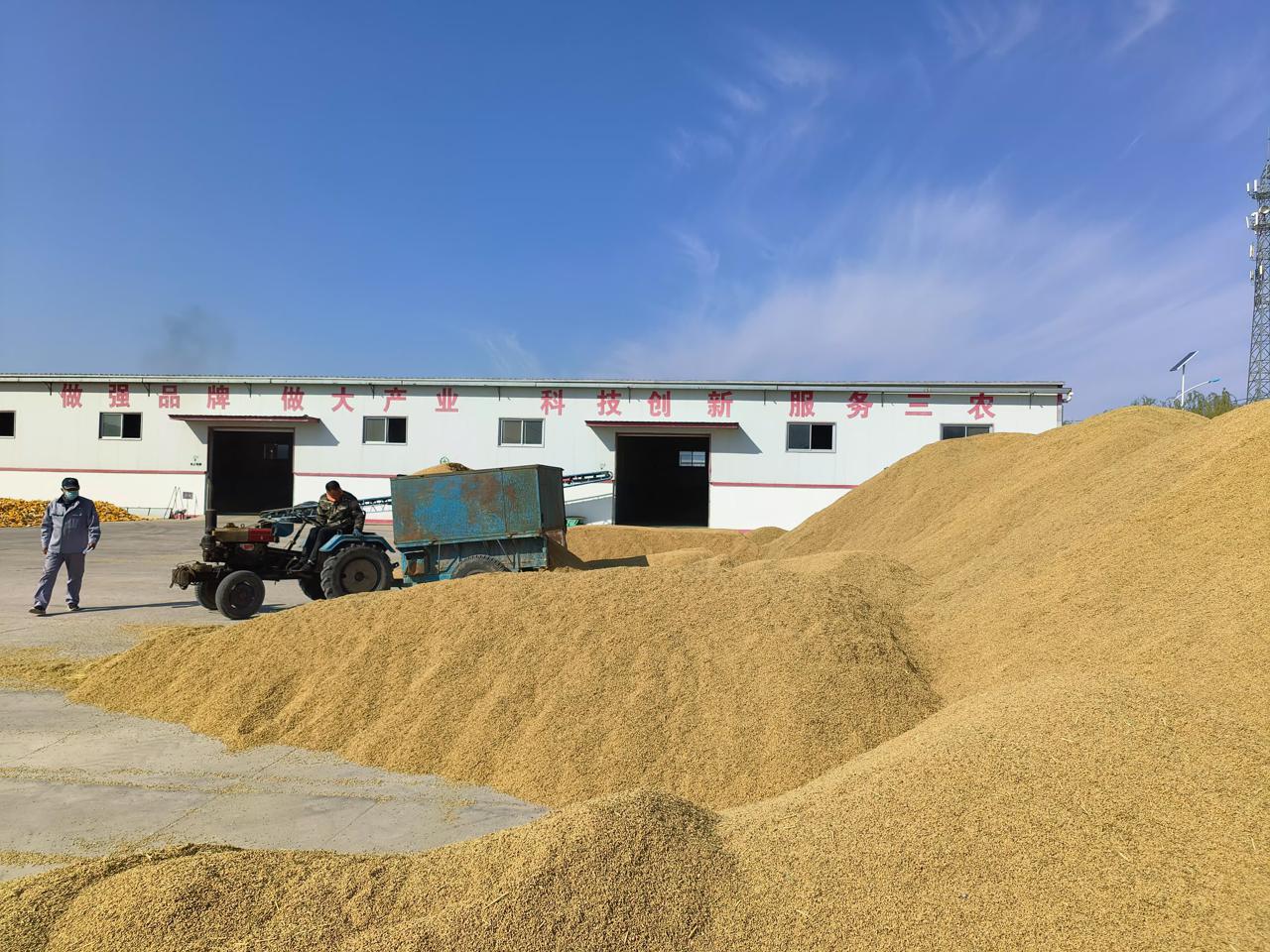 粮食批发店算不算粮食收购企业类型