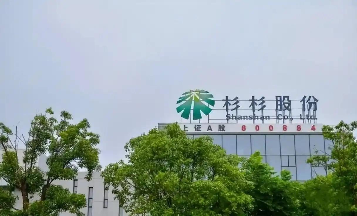 龙头重整博弈：杉杉股份，浙江民营经济面临关键抉择

作为浙江民营经济标志性企业，