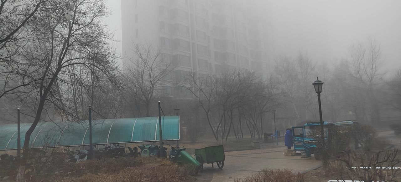 春日生活打卡季今早雾很大，春天的雾很柔软，打在脸上，很惬意。伸手不见五指，我见远