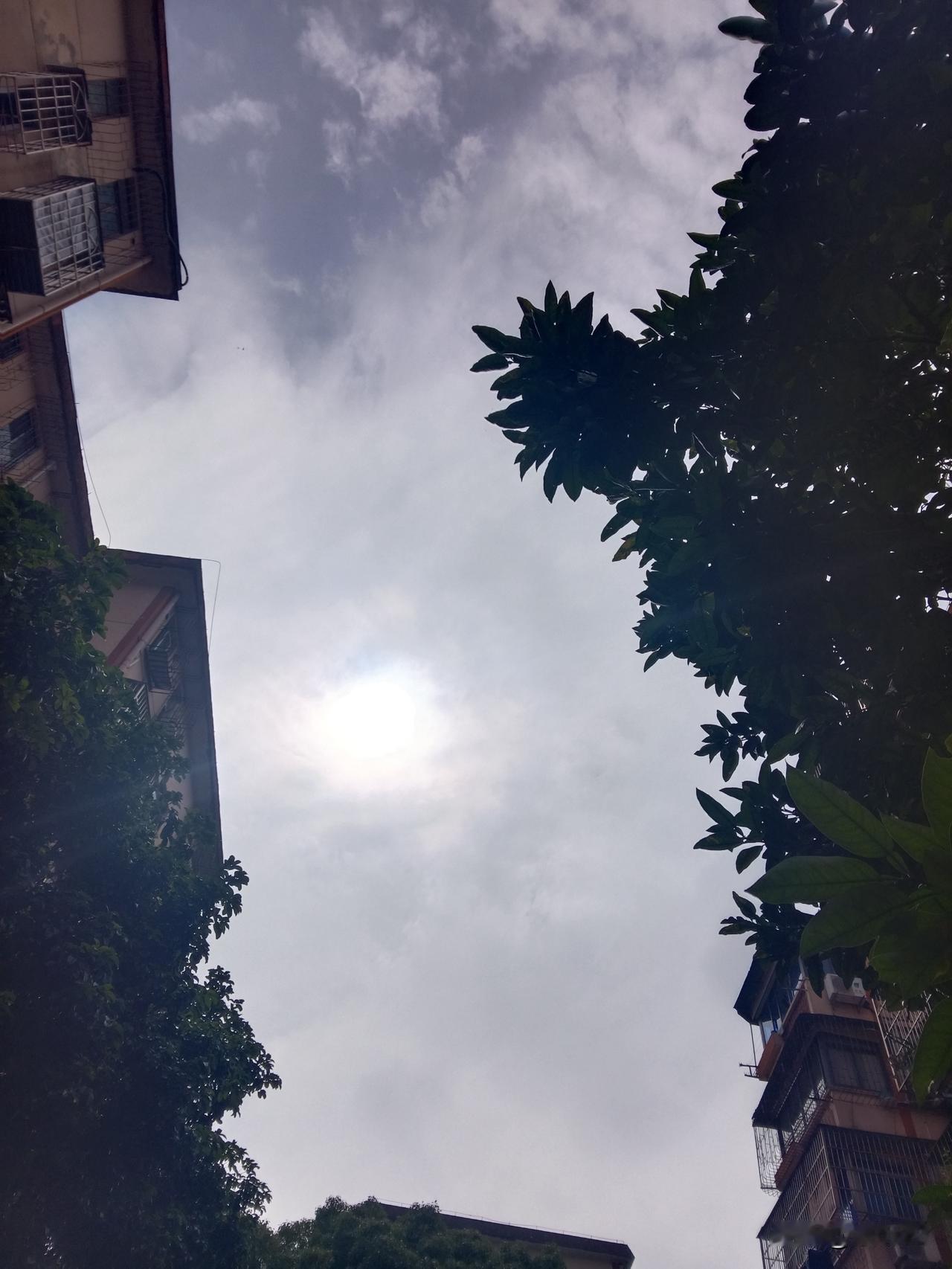 董路以及其他类似的人处于这样一种情形：在我们致力于复兴中华的大背景下，有些领域远