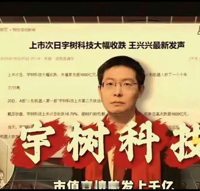 有墨科技贝塔老板说，宇树科技的股票在 200 左右才是比较合理，为什么我觉得他说