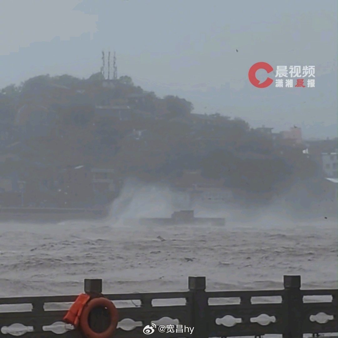 记者发现白海豚风眼就在身后 西安·华严寺