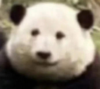 无字表情包 ​​​