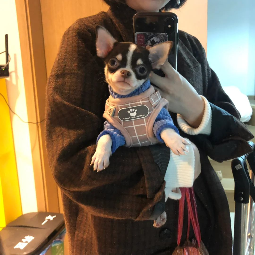 他三个月就来我身边了，怎么不是我的宝宝呢