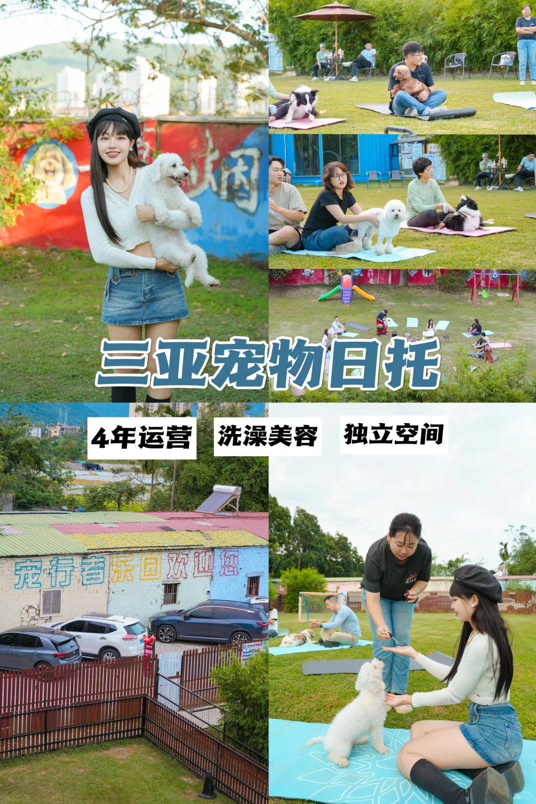 终于找到啦‼️三亚适合日托的宠物友好乐园🐶
