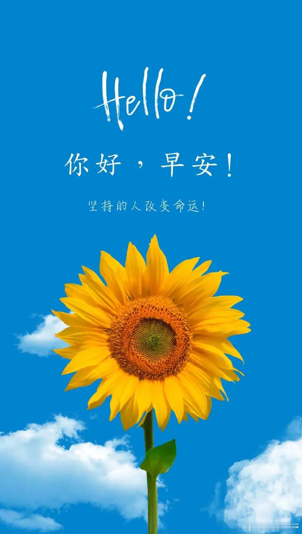 早上好，宝们！点赞打卡养成金粉体质新的一天，新的起航，评论区见真章！ 