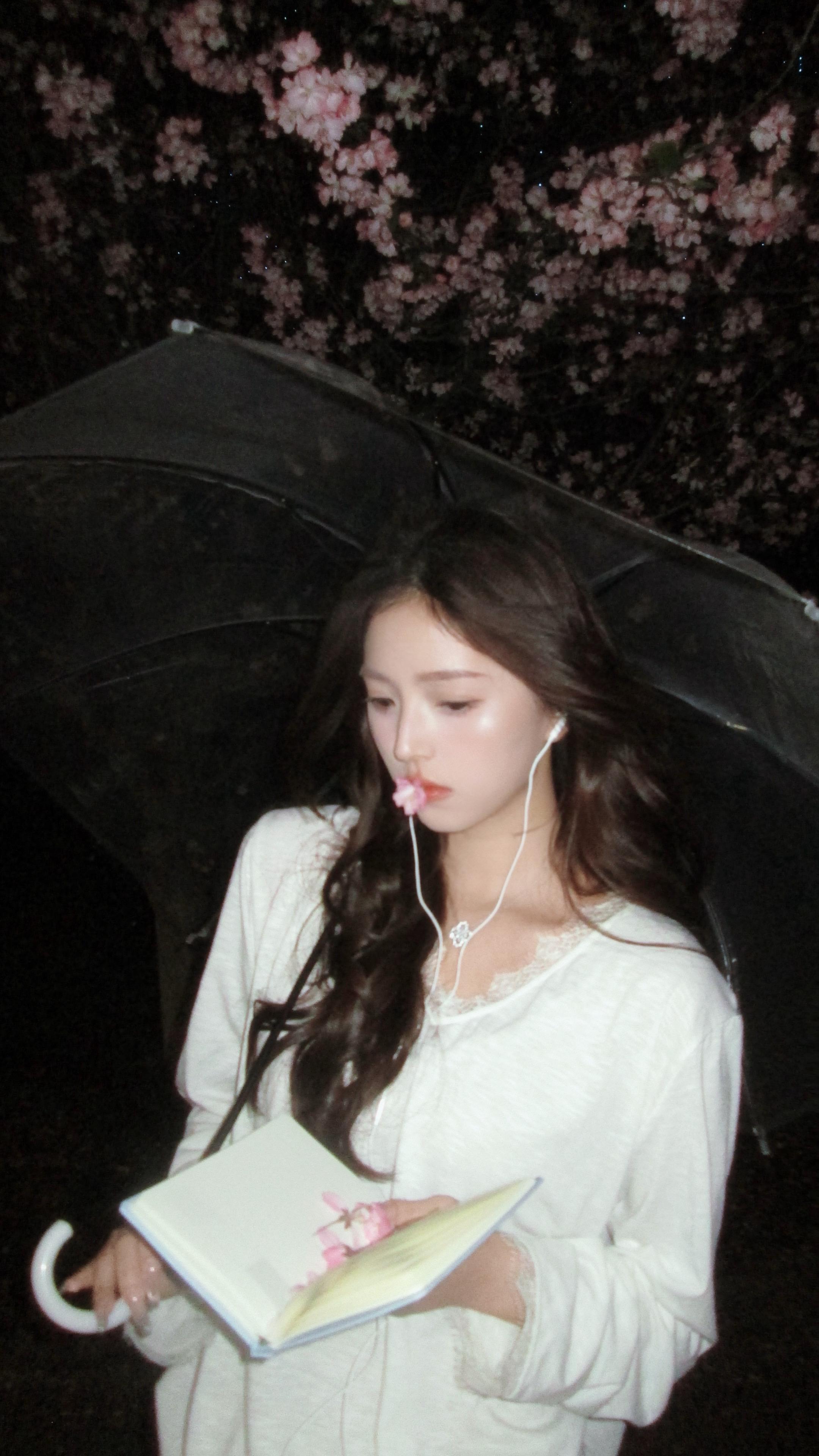 🌸。
