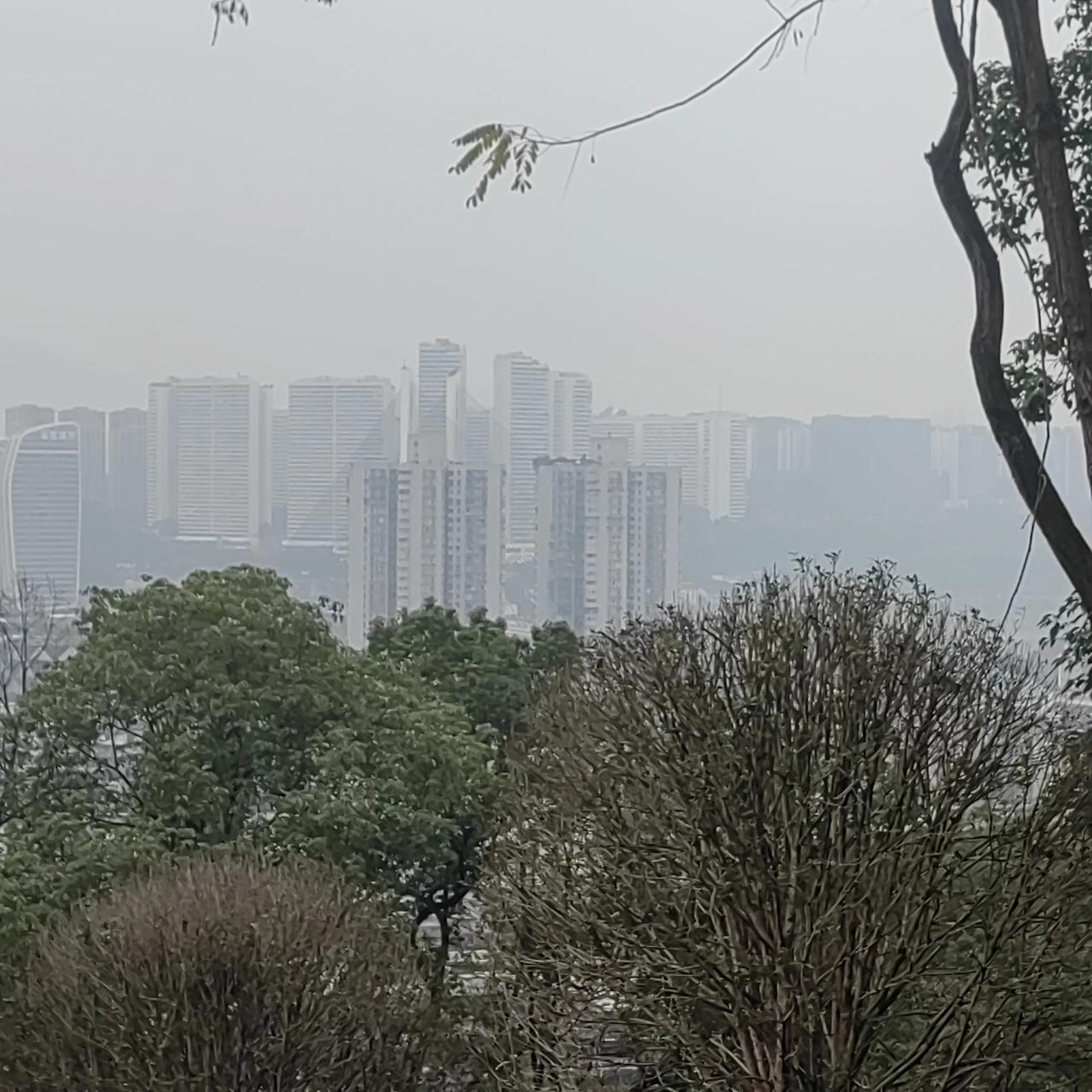 清江引·《连日小雨》
六九多雨天仍寒，奈何东风远。举目雾蒙蒙，春色似无缘。江岸新